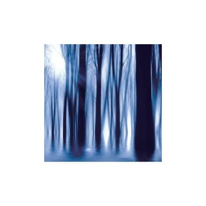 森林系列-SP06012.jpg