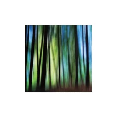 森林系列-SP06017.jpg