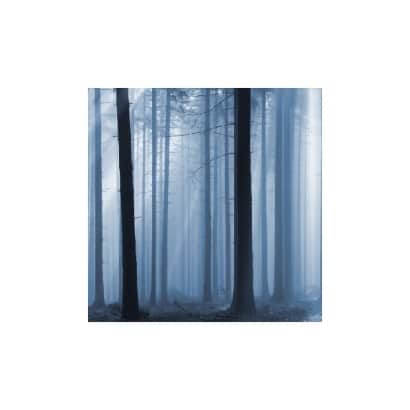 森林系列-SP06018.jpg